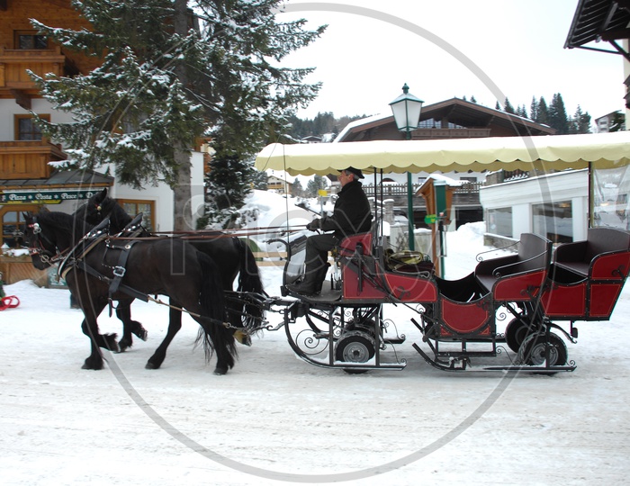 Horse Drawn Carriage on  Snow in Switzerland