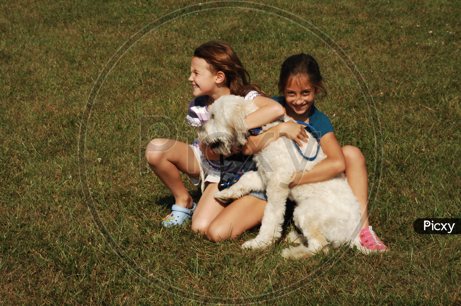 Girl Child Playing With a Dog