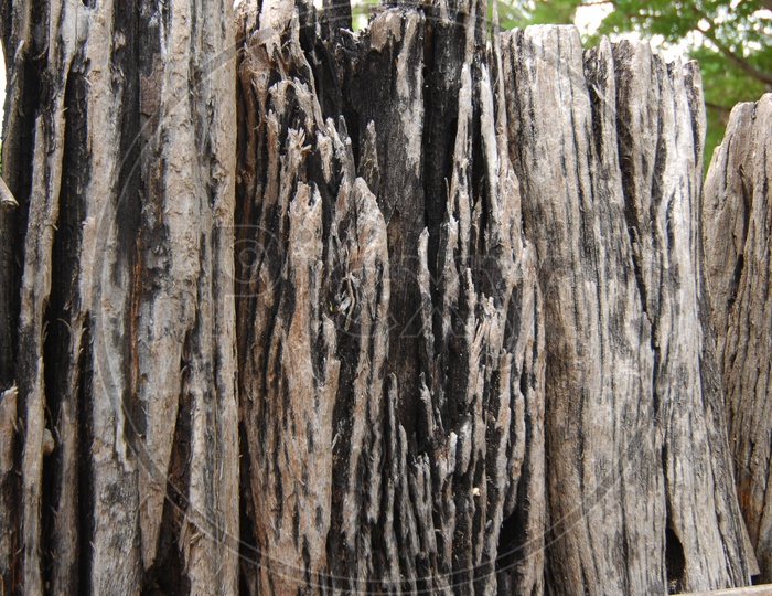 Wood Texture of a Wooden Fence