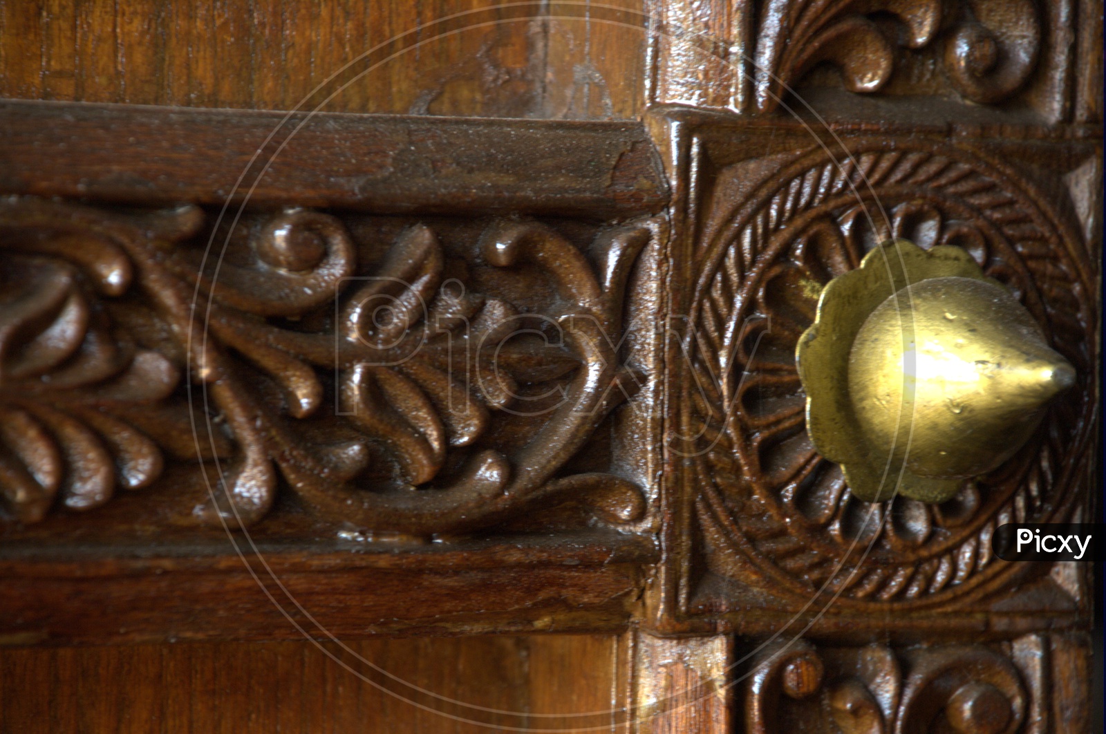 Sharp Brass Nobs Designs on Old Indian Doors