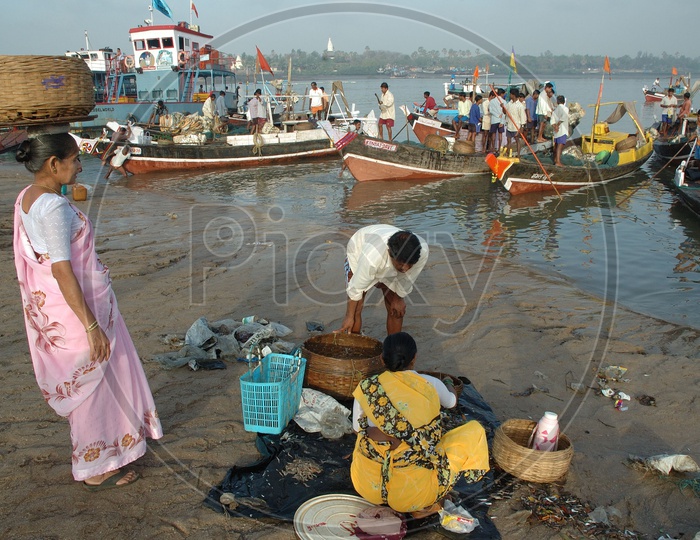 A Woman Sorting the Fish From Catch on a river bank