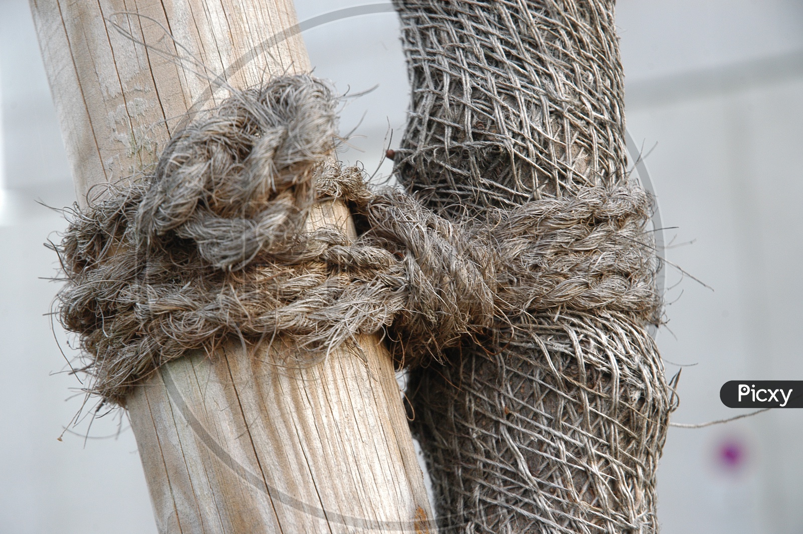 wooden logs Tied With a Thread