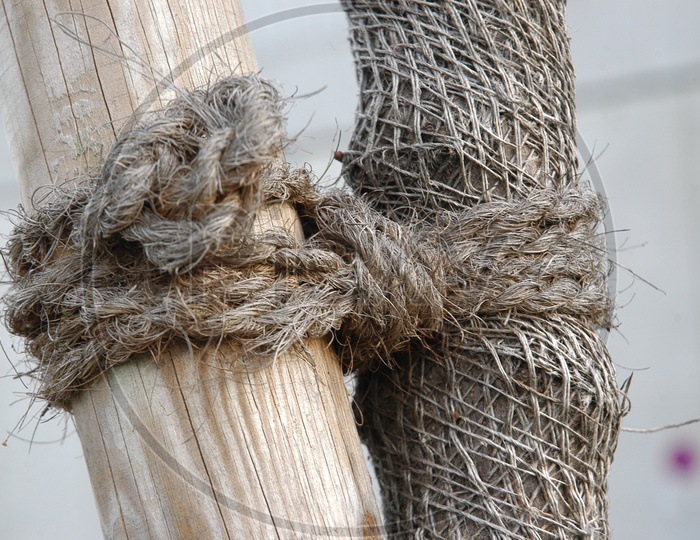 wooden logs Tied With a Thread