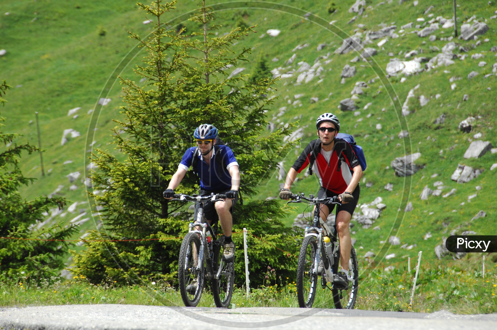 Cyclist Riding Cycles on Hill Station Pathways