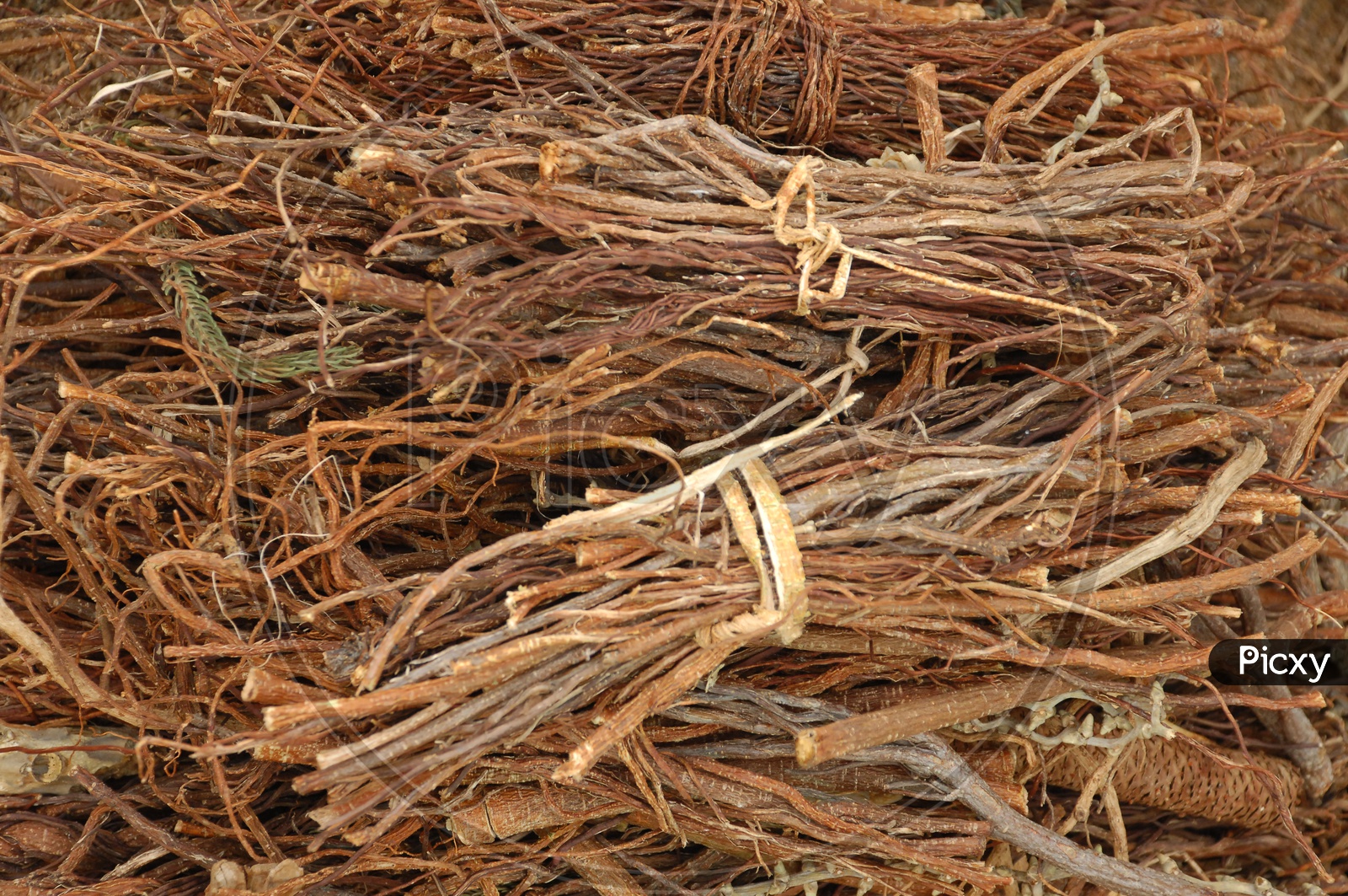 Dried Sticks Bundles
