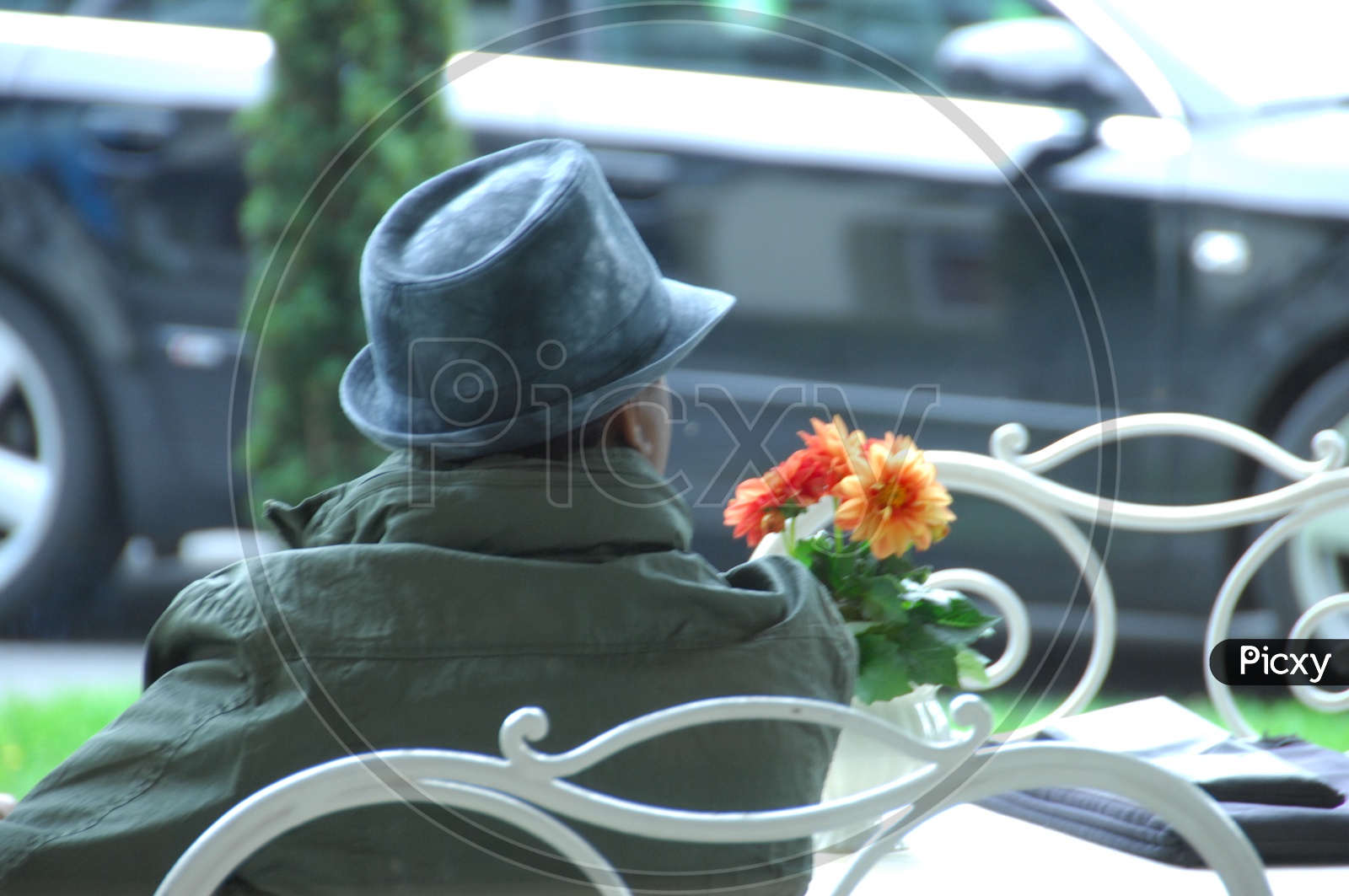 A Man Sitting On a Bench Holding Flowers in Hand