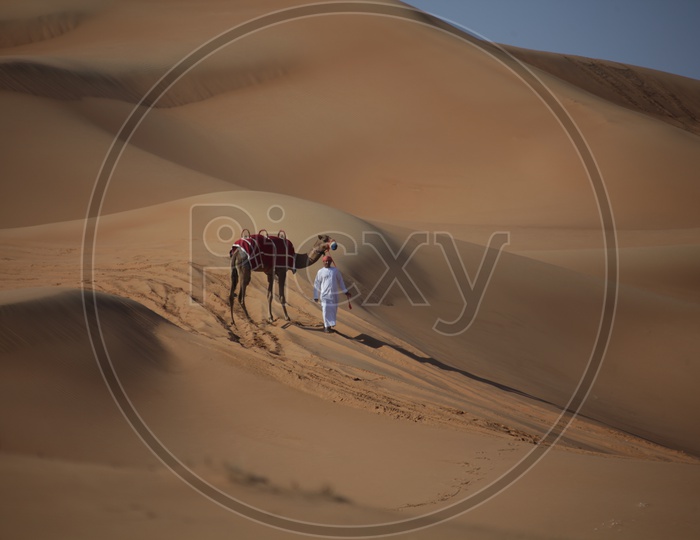 Man  walking with Camel in Dubai Desert