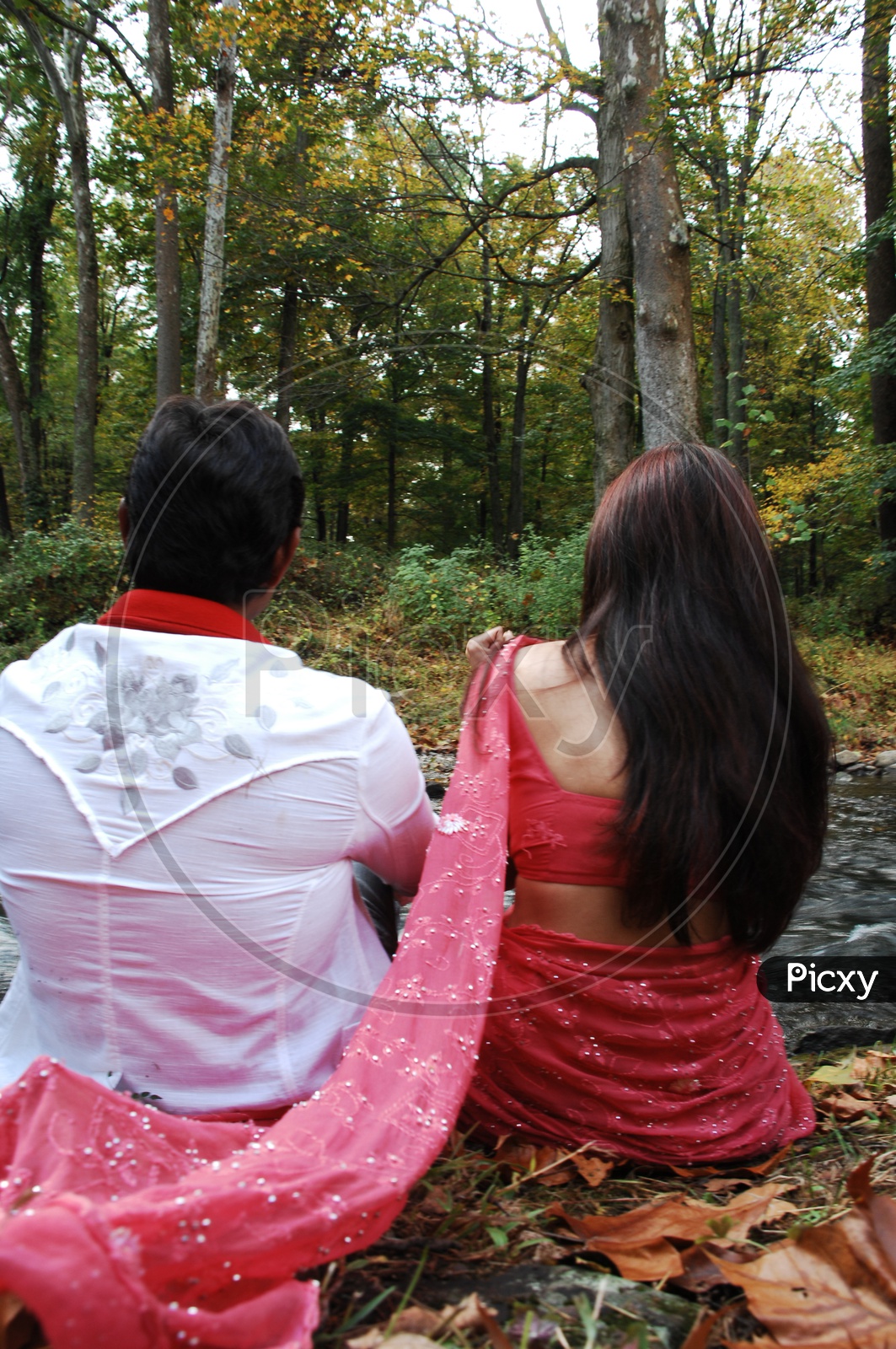 Indian couple in a park