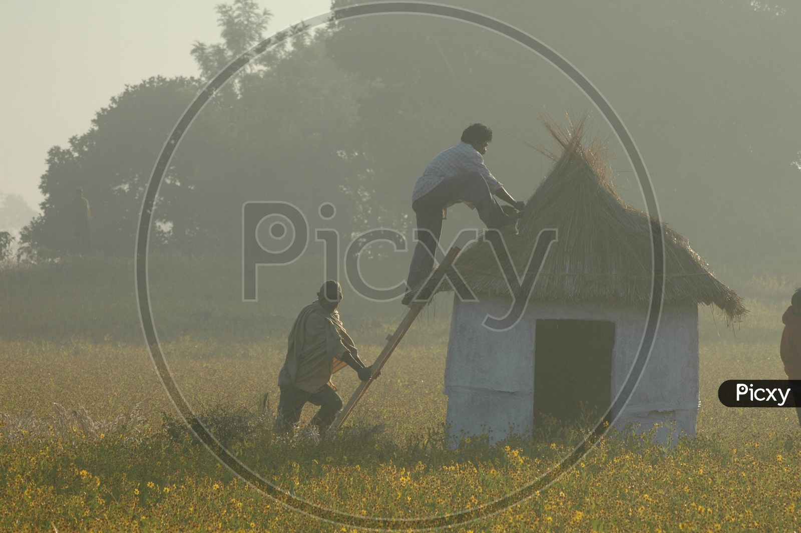 Tribal Man at Agricultural Farms on Early In the Morning