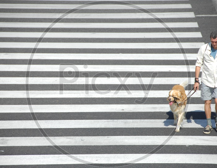 A Man With His Pet Dog On Roads