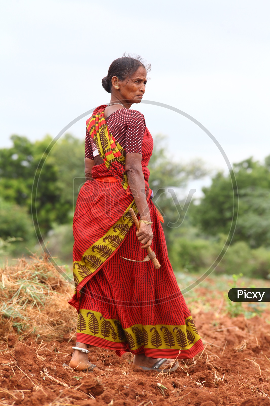 Indian farmer portrait Stock Photos, Royalty Free Indian farmer portrait  Images | Depositphotos