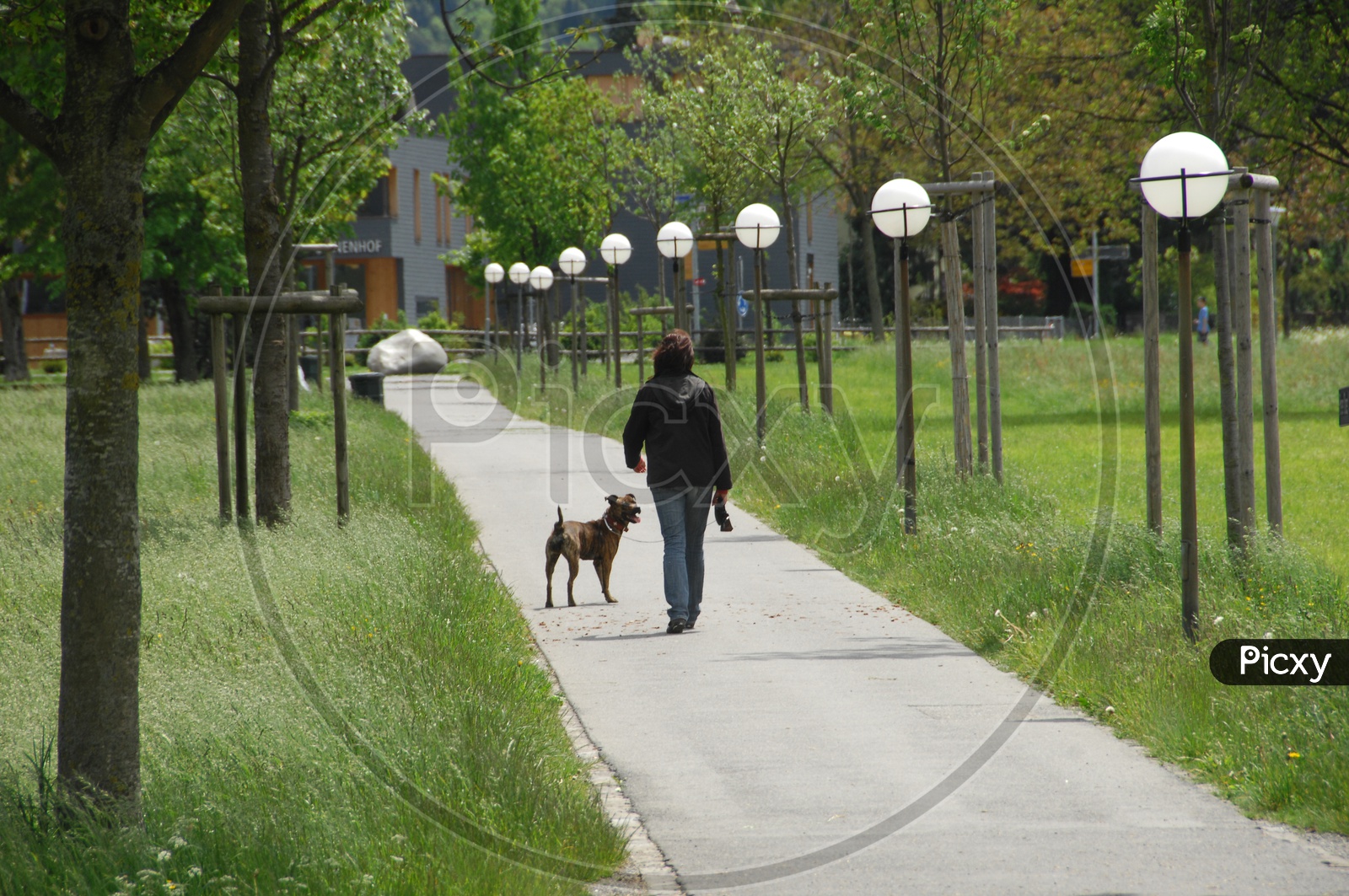 A Man With His Dog on a Street