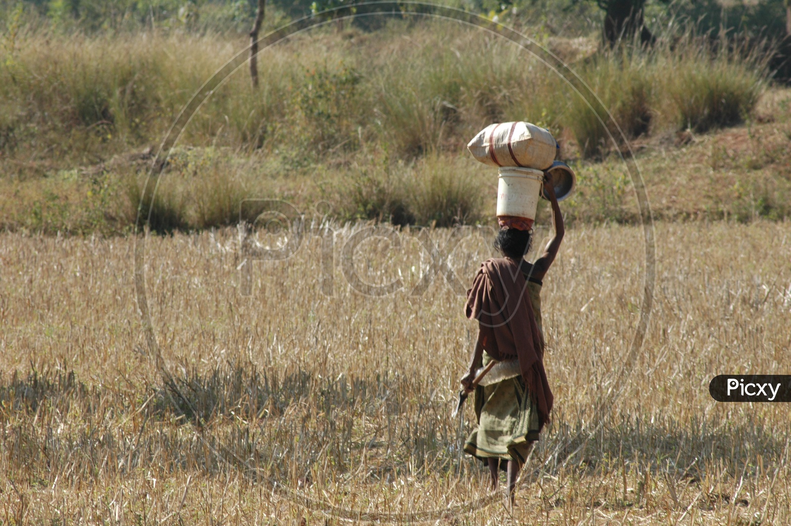 A Woman Carrying Weights On Head in a tribal Village