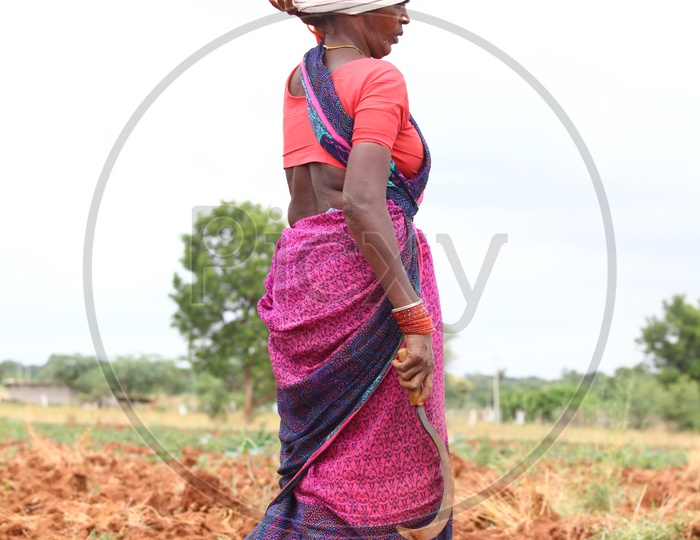 Photograph of Indian Women Farmer