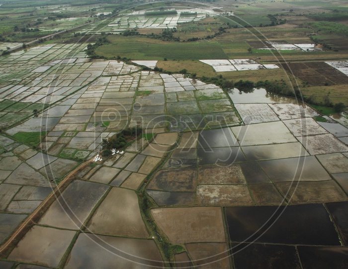 An Aerial View of Paddy Fields from Flight Window
