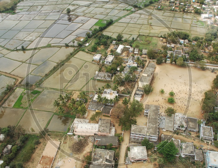 Aerial View Of Paddy / Agricultural  Fields