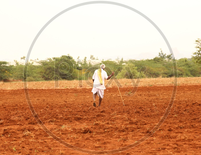 Old man walking in agriculture fields