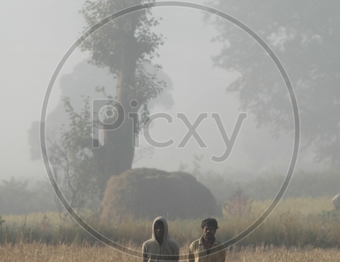 Tribal Man in Agricultural Farms Early in the Morning