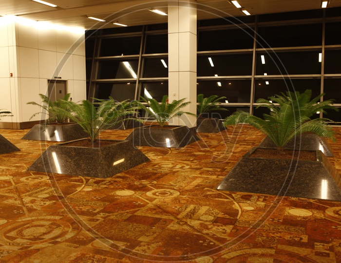 Plants alongside the interior of the airport