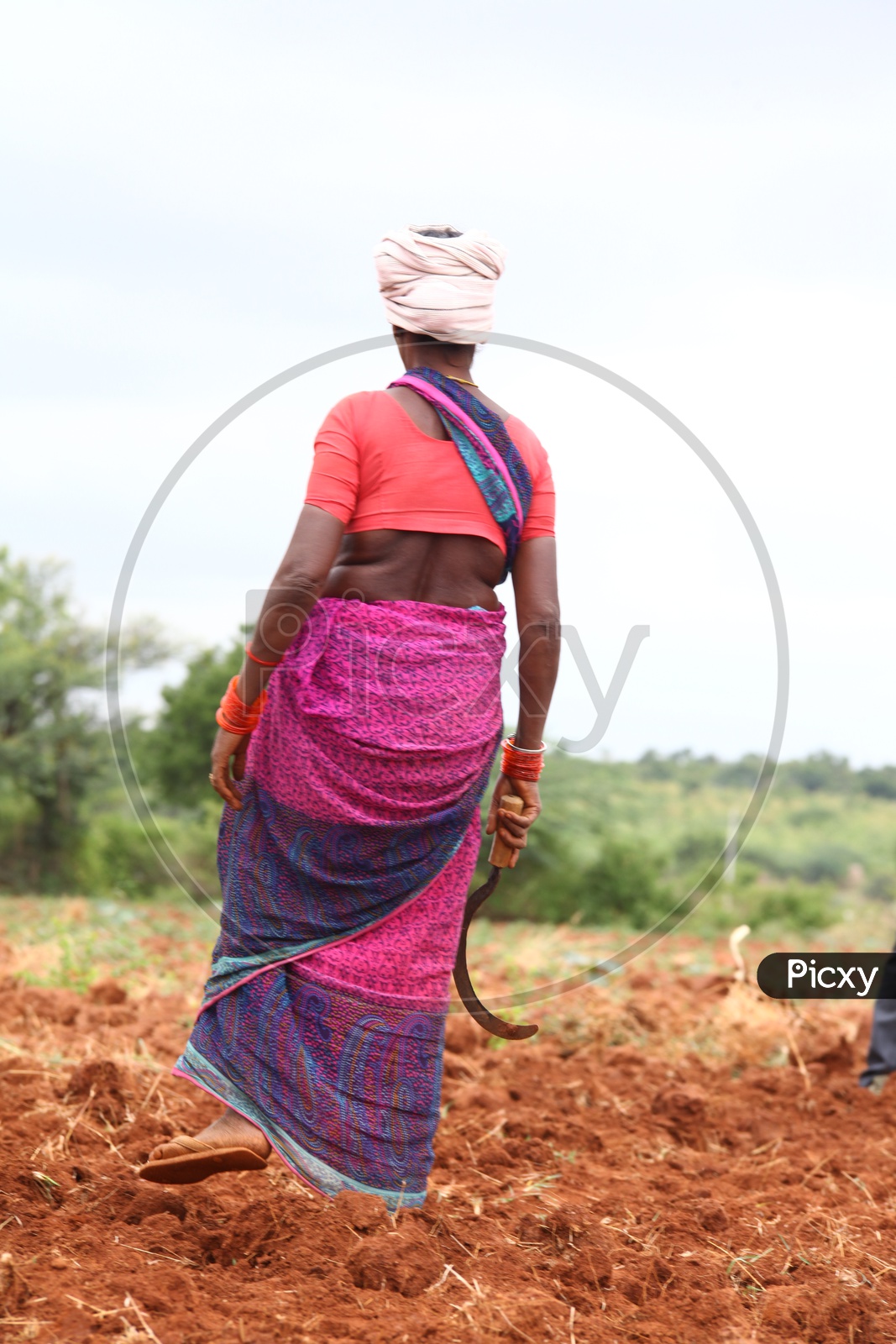 Photograph of Women Farmer