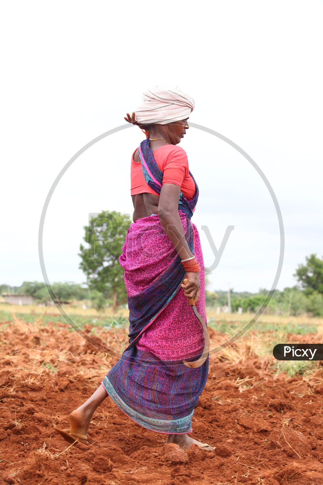 Photograph of Indian Women Farmer
