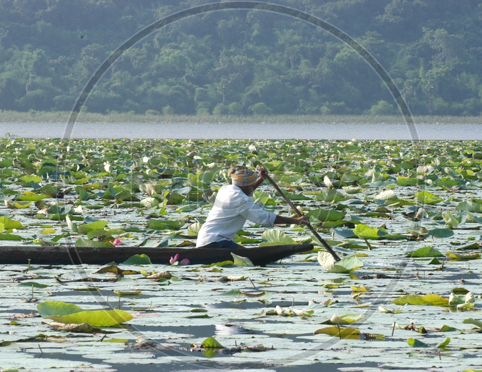 A tribal Man on a Boat in a Lotus lake