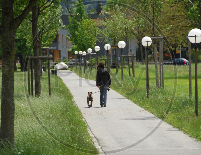 a Woman With Her Pet Dog on a Lane
