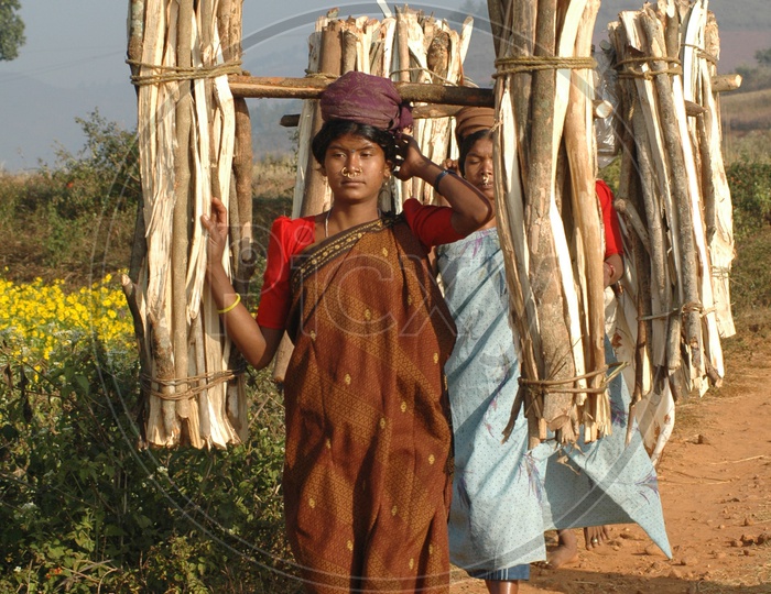 Tribal Woman Carrying Cooking Wood in Araku