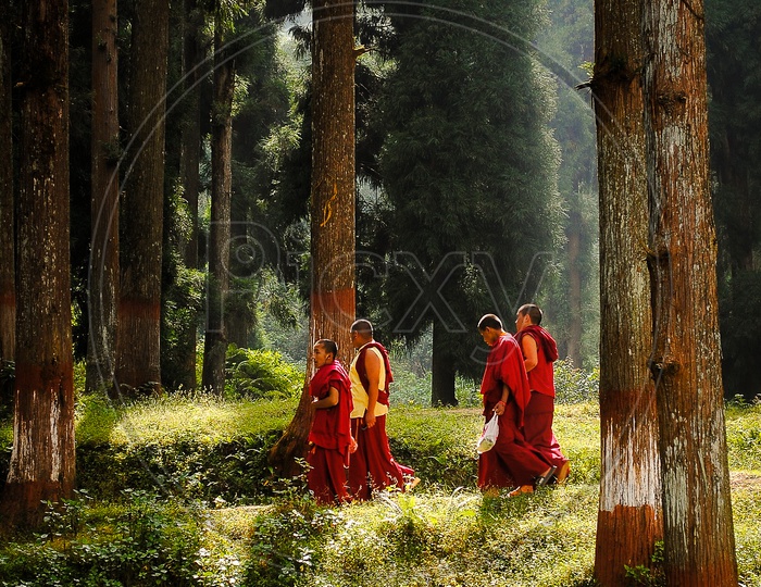 Buddhist Monks in leh