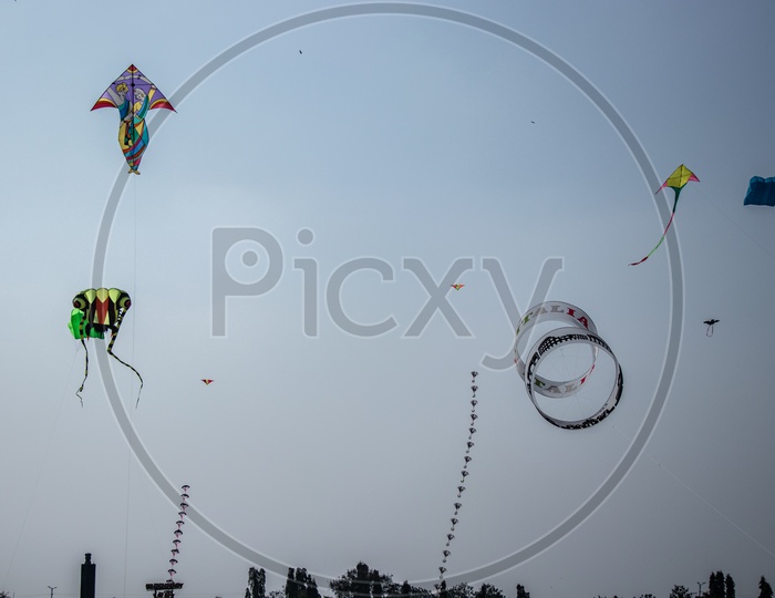 Kites in International Kites Festival 2019