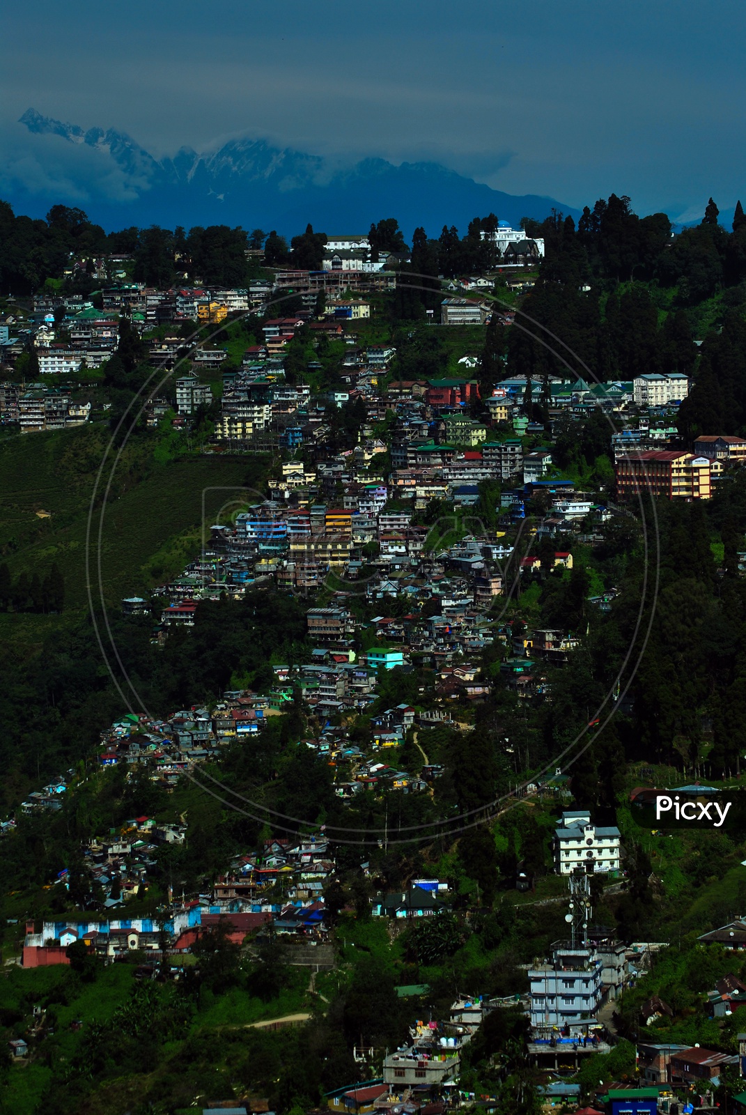 Houses in Darjeeling