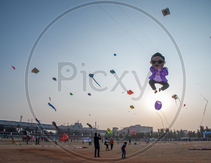 Kites  in International Kites Festival 2019