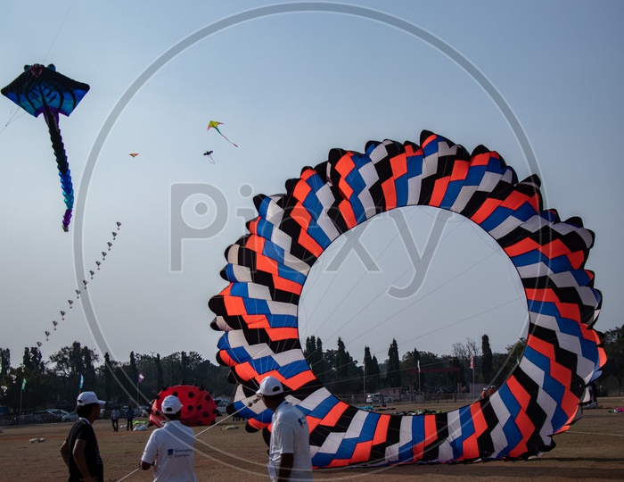 Kites in International Kites Festival 2019