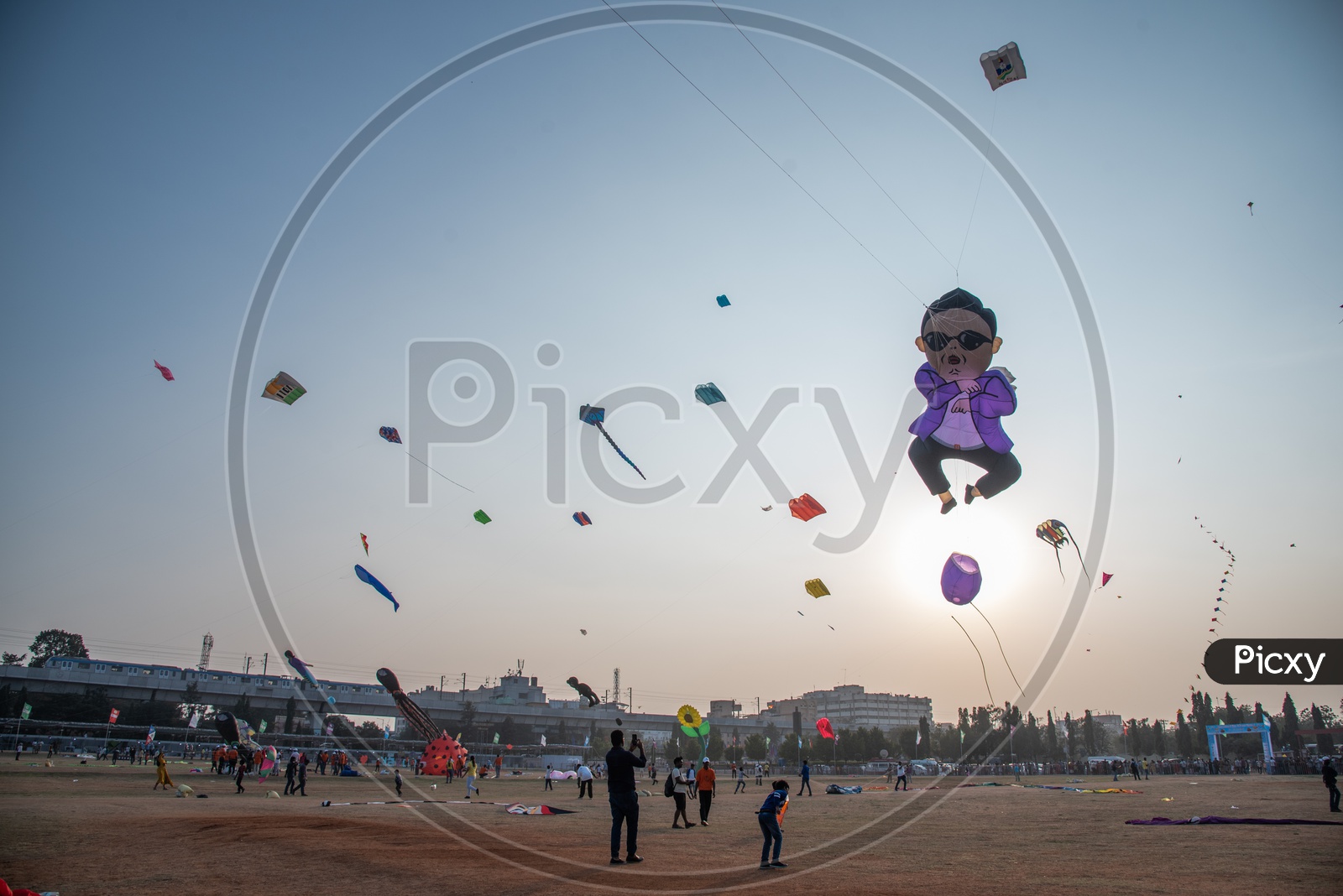 Kites  in International Kites Festival 2019