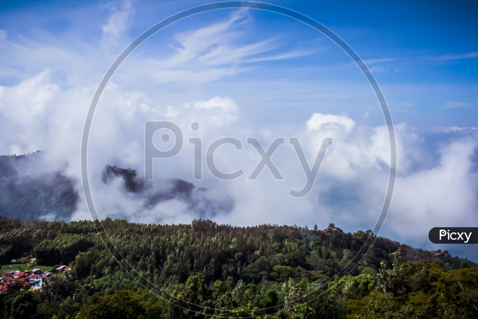 Landscape of clouds on tress with a backdrop pf blue sky