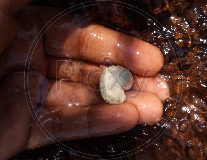 Raw cashew in hand placed at moving water