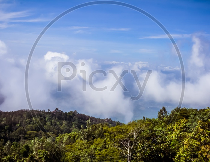 Landscape of Floating clouds on trees with the backdrop of Blue sky