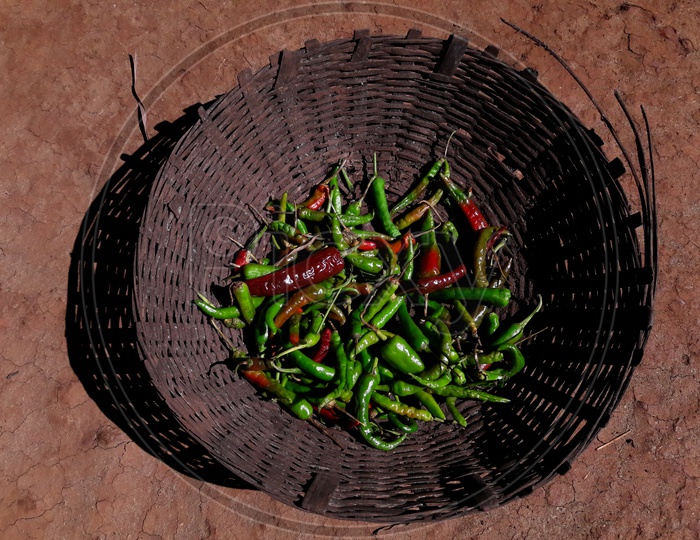 Raw pepper put in bamboo basket can to get dried up by Sun heat