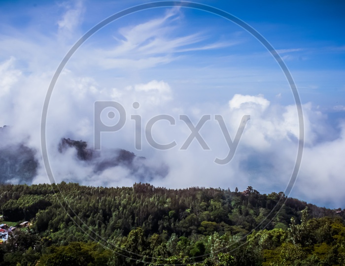 Landscape of clouds on tress with a backdrop pf blue sky
