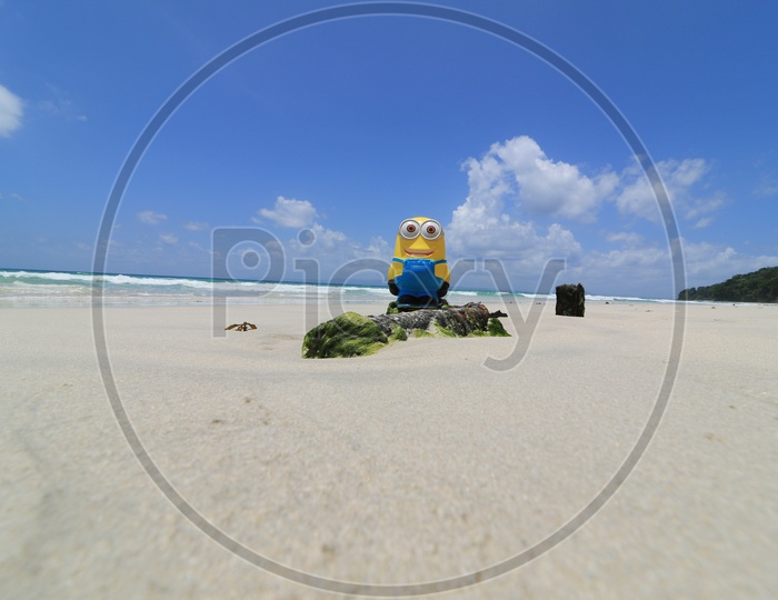 Minion in Beach in Andaman and Nicobar Island