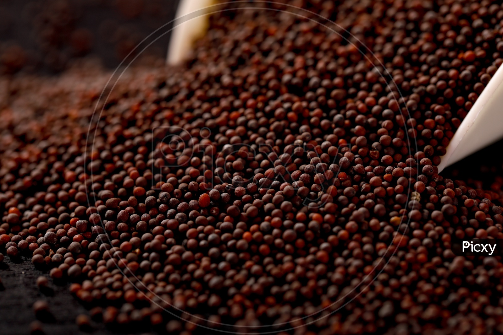 Black Mustard Seeds/avalu - Indian Spices