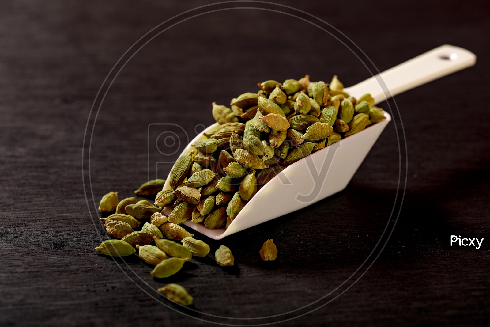 Cardamom - Indian Spices