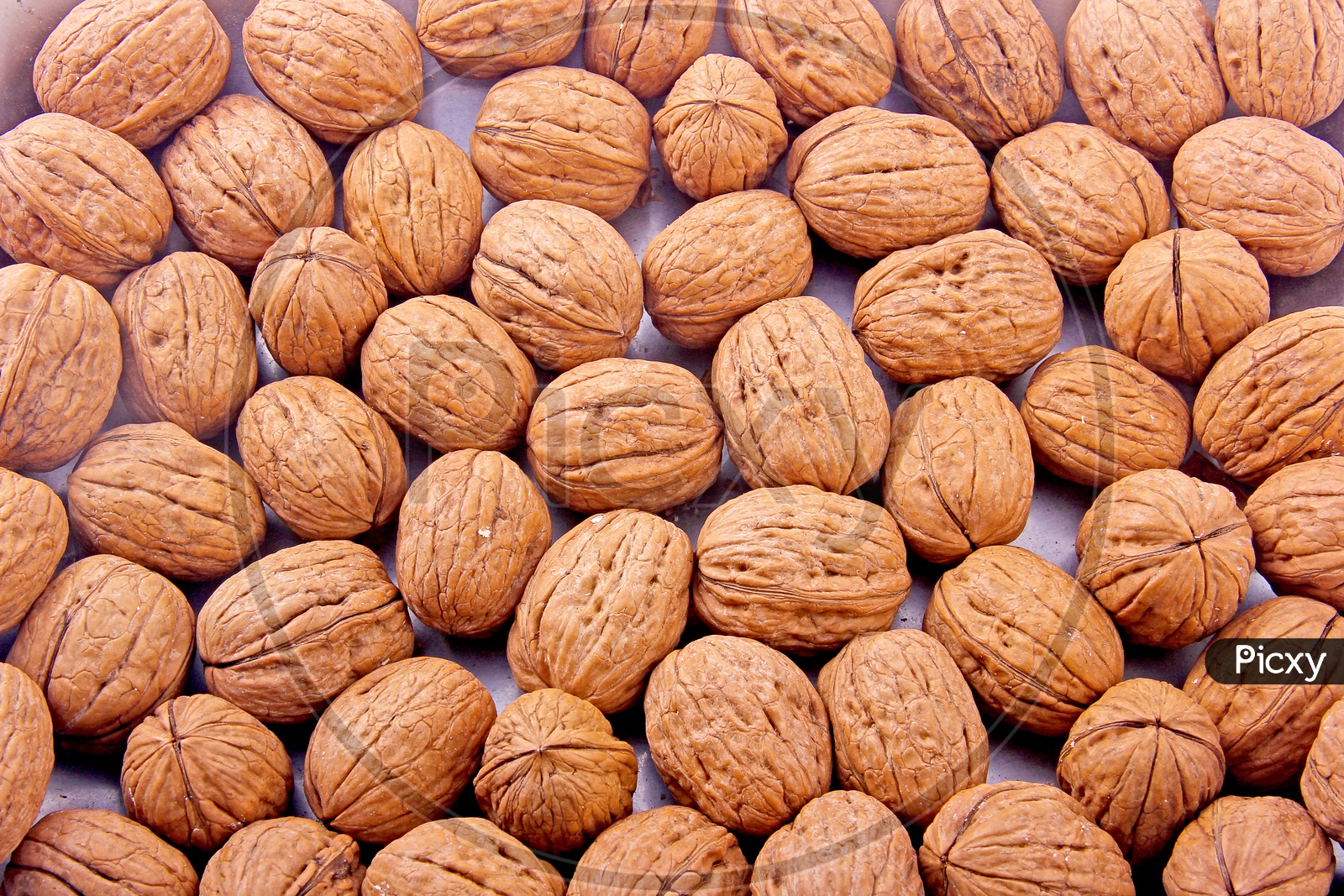 Walnuts/Akharot