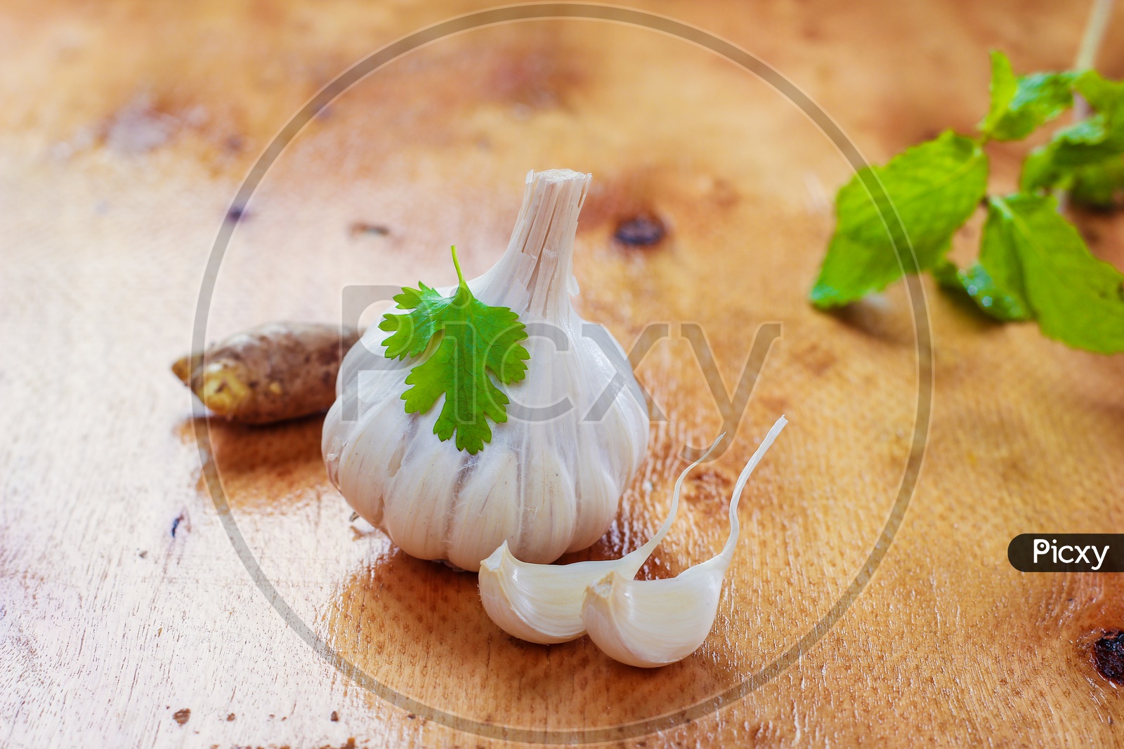 Image of Garlic cloves VegetablesTD449619Picxy