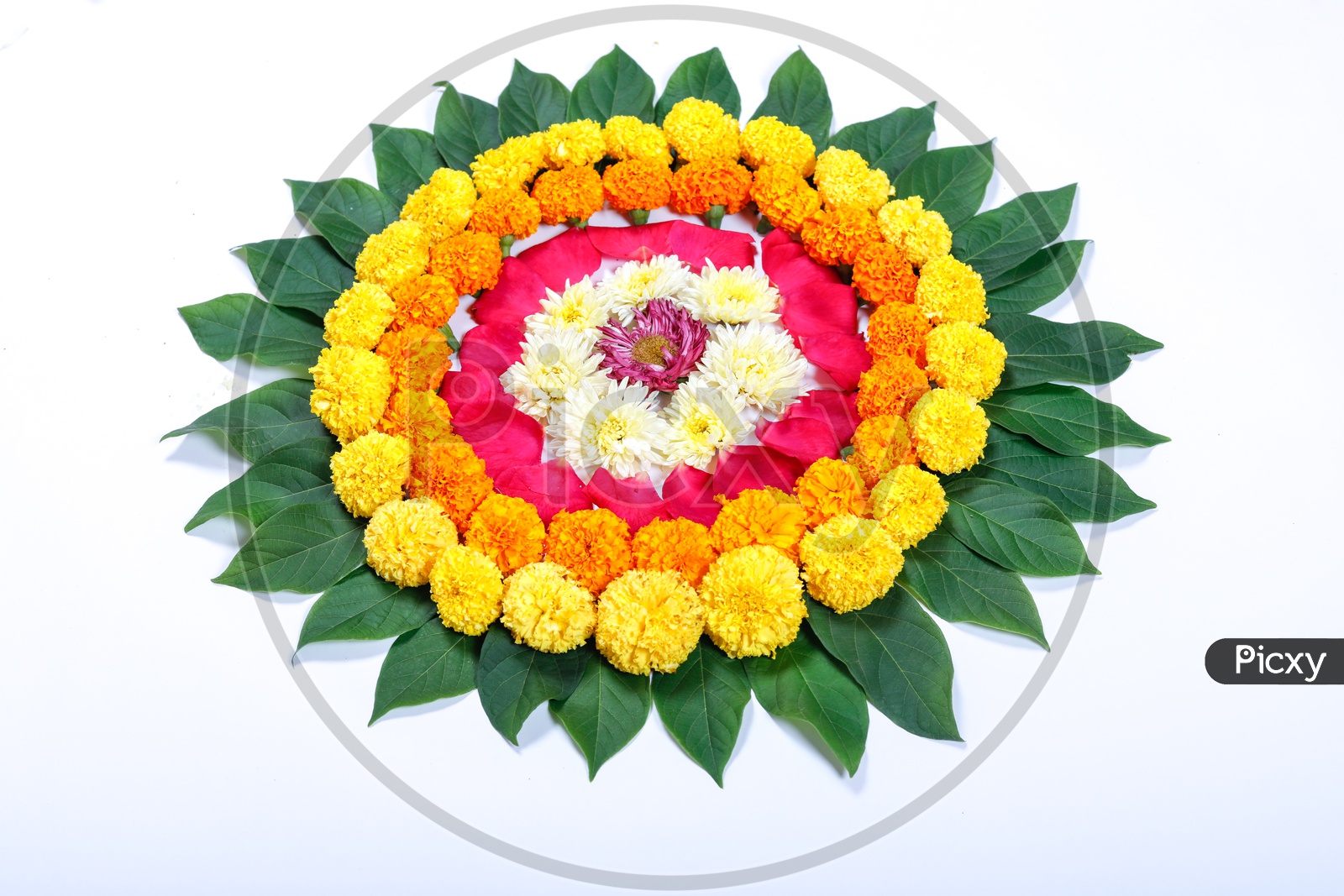 15 flower rangoli ideas to decorate your house this festive season