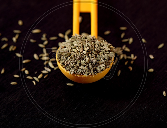 Fennel Seeds/Saunf - Indian Spices