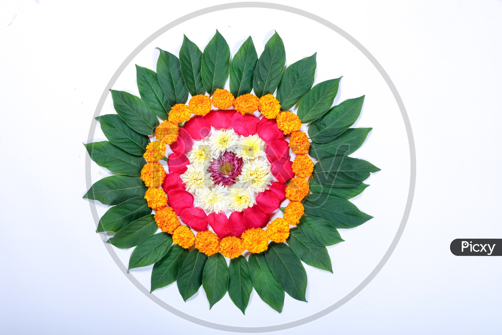 Free Hand Flower Rangoli Design-Rangoli Design with colors by Nagus  Handwork - video Dailymotion
