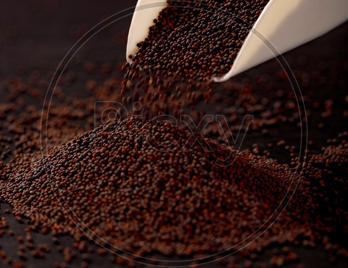 Black Mustard Seeds/avalu - Indian Spices
