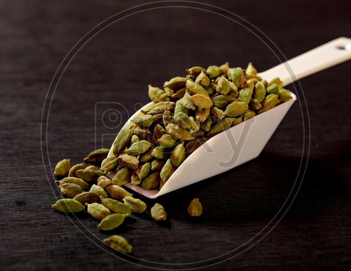 Cardamom - Indian Spices