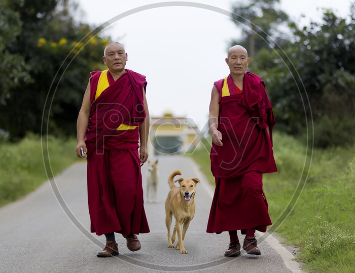 Little monks walking on the road with a dog